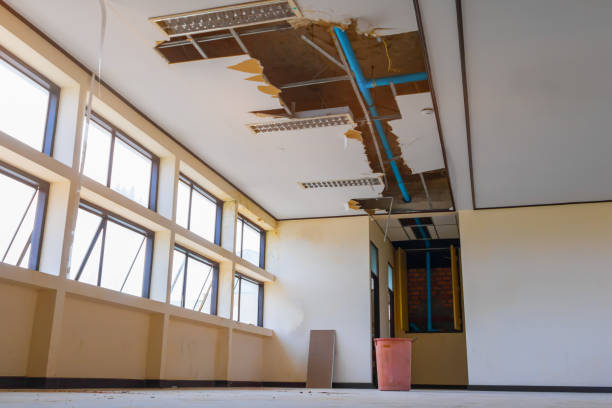 Best Professional water damage repair  in Larkfield Wikiup, CA