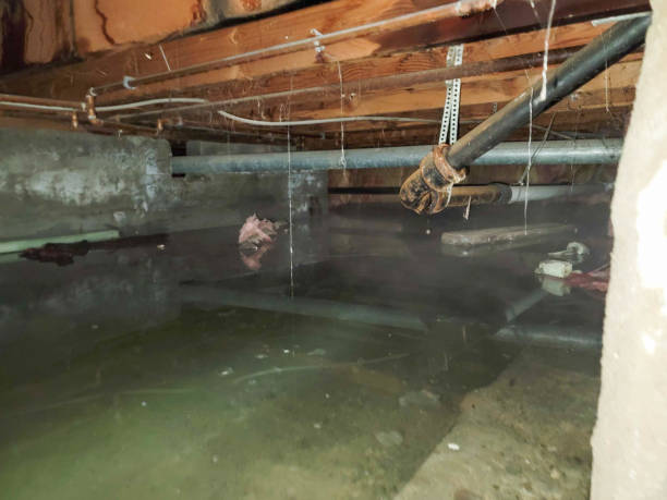 Best Basement water damage restoration  in Larkfield Wikiup, CA