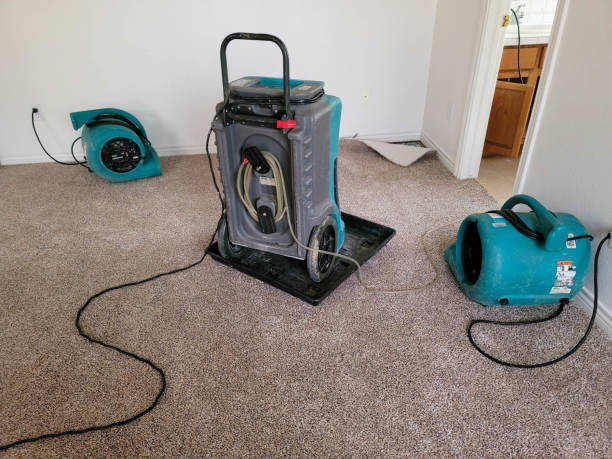 Best Water damage contractors near me  in Larkfield Wikiup, CA