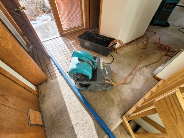 Best Water damage restoration services  in Larkfield Wikiup, CA