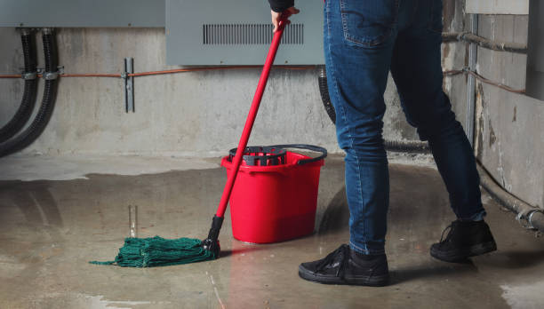 Best Water damage restoration experts  in Larkfield Wikiup, CA