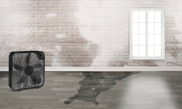 Reliable Larkfield Wikiup, CA Water damage restoration Solutions