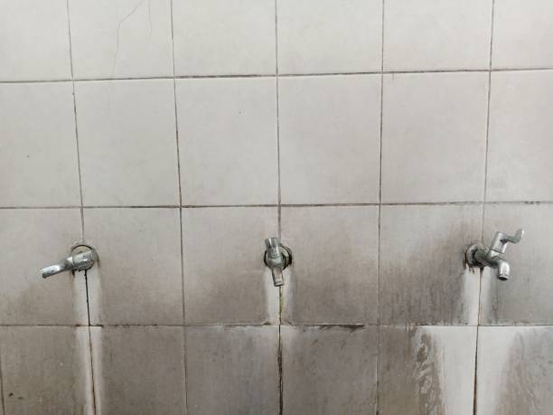Best Ceiling water damage repair  in Larkfield Wikiup, CA