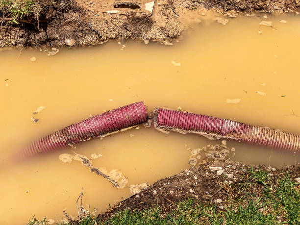 Best Local water damage restoration  in Larkfield Wikiup, CA
