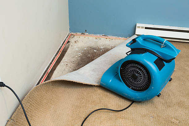 Best Water damage contractors near me  in Larkfield Wikiup, CA