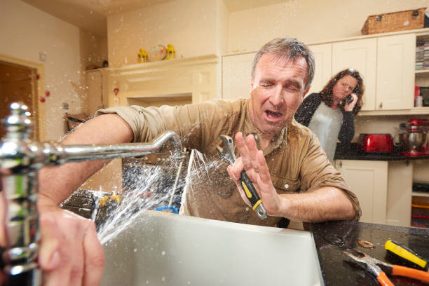 Best Mold removal after water damage  in Larkfield Wikiup, CA